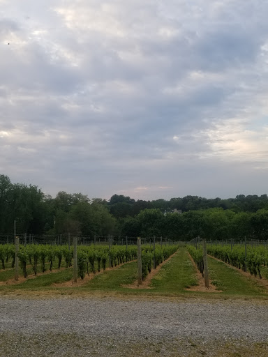 Winery «Galer Estate Vineyard and Winery», reviews and photos, 700 Folly Hill Rd, Kennett Square, PA 19348, USA