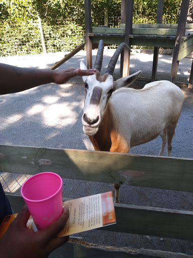 Zoo «Catoctin Wildlife Preserve and Zoo», reviews and photos, 13019 Catoctin Furnace Rd, Thurmont, MD 21788, USA