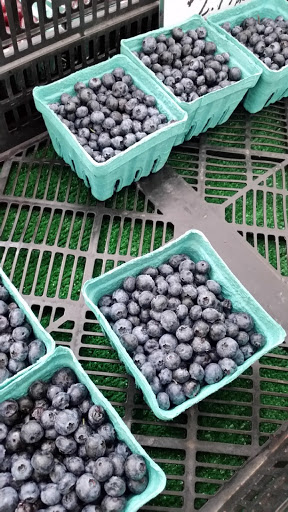 Park «Parker Press Park», reviews and photos, 400 Rahway Ave, Woodbridge, NJ 07095, USA