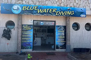 Blue Water Diving image