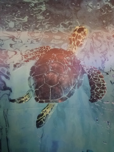 Movie Theater «AMC Mayfair Mall 18», reviews and photos, 2500 N Mayfair Rd M186, Wauwatosa, WI 53226, USA