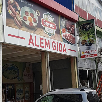 ALEM GIDA