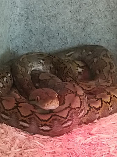 Pet Store «Wildside Pets», reviews and photos, 1042 N Higley Rd #105, Mesa, AZ 85205, USA