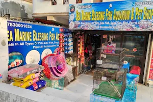 Sea Marine Blessing Fish Aquarium & pet shop image