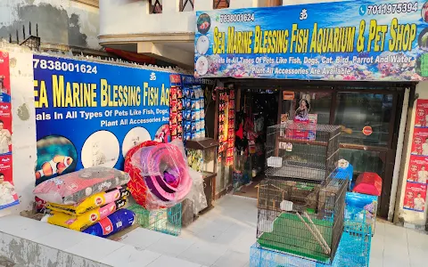 Sea Marine Blessing Fish Aquarium & pet shop image