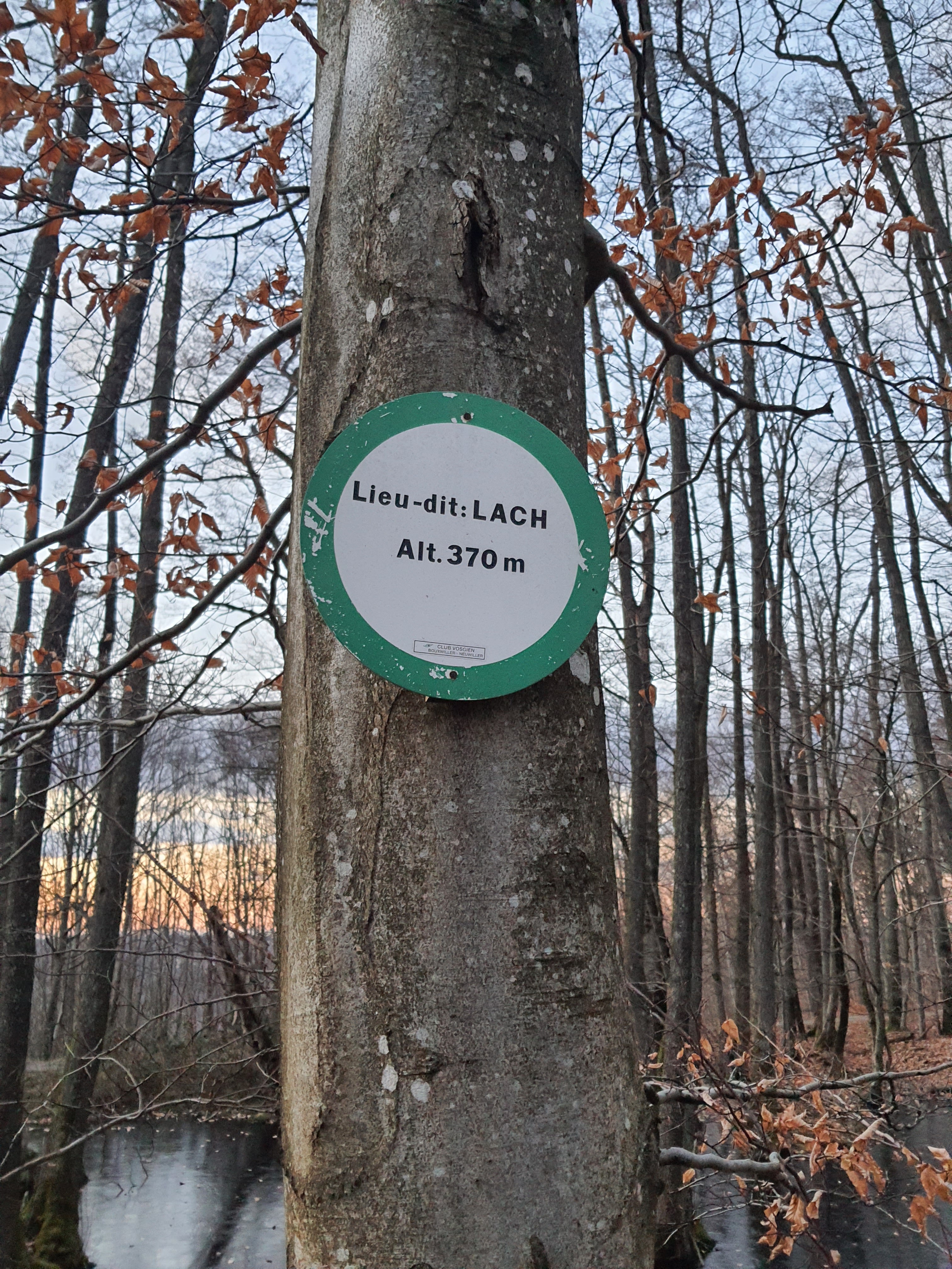 Photo n° 25 de l'avis de Fabili.2467. fait le 27/02/2023 à 19:46