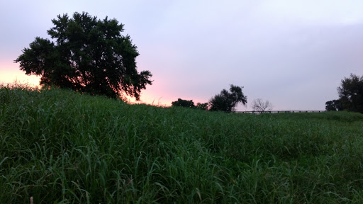 Bed & Breakfast «Richwood on the River / Bed & Breakfast & Events Venue», reviews and photos, 1233 KY-36, Milton, KY 40045, USA