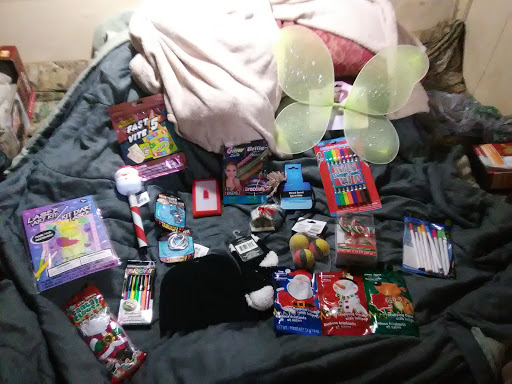 Dollar Store «Dollar Tree», reviews and photos, 1101 Old Philadelphia Rd f, Jasper, GA 30143, USA