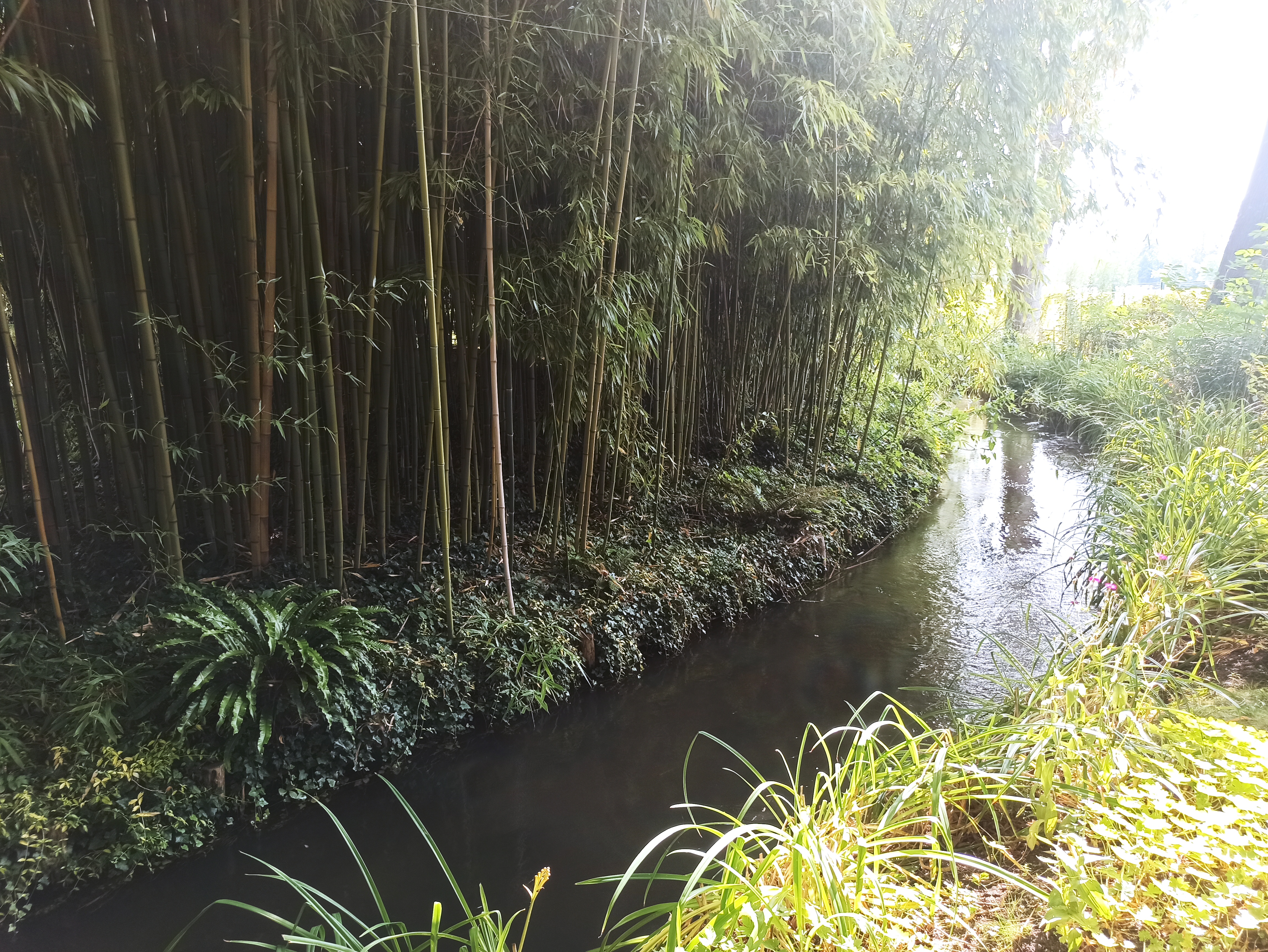 Photo n° 10 de l'avis de Antonio.a fait le 11/08/2021 à 17:59