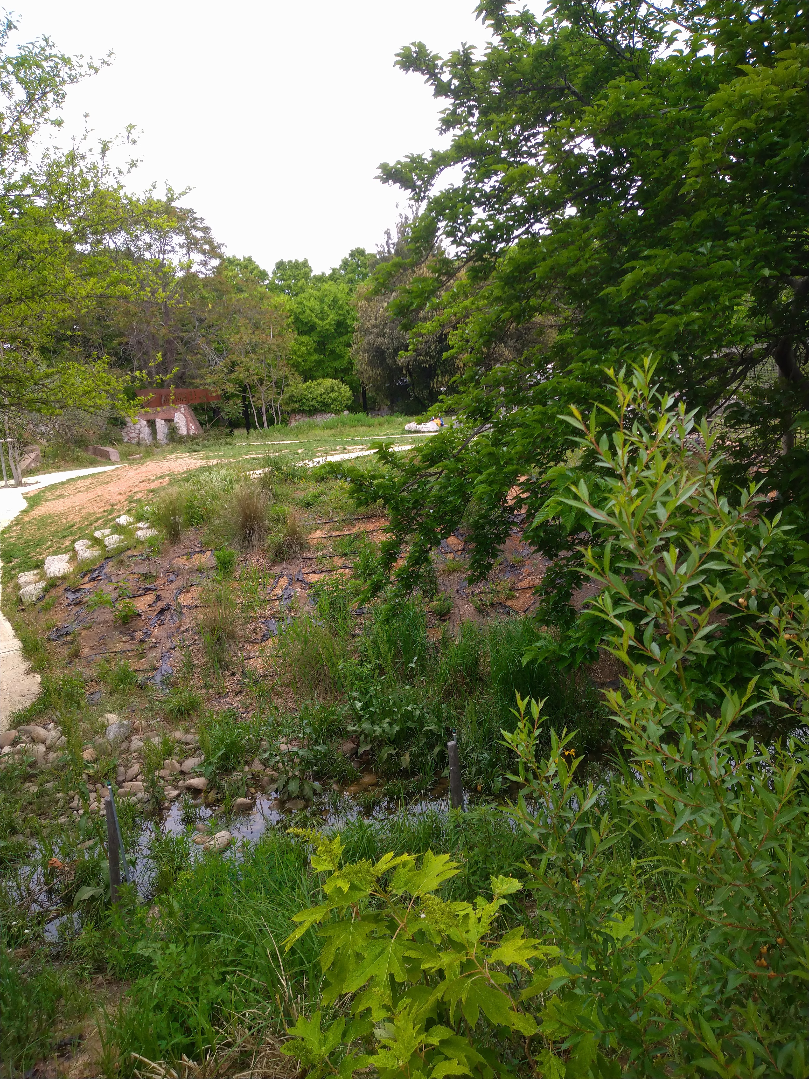 Photo n° 1 de l'avis de Anfifa.L fait le 15/05/2021 à 13:15