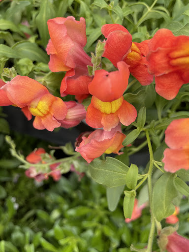 Grocery Store «King Soopers», reviews and photos, 1750 W Uintah St, Colorado Springs, CO 80904, USA