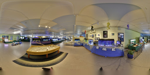 Aquarium «Biomes Marine Biology Center», reviews and photos, 6640 Post Rd, North Kingstown, RI 02852, USA