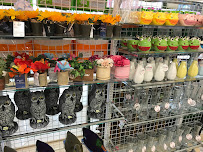 Daiso - Photo 5 - Car repair in Bellevue, WA, Bellevue