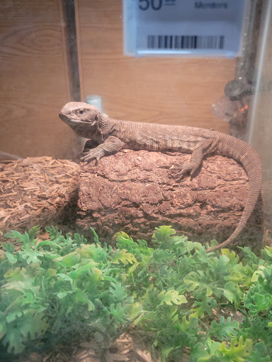 Pet Supply Store «Valley Feed», reviews and photos, 1486 Freedom Blvd, Watsonville, CA 95076, USA