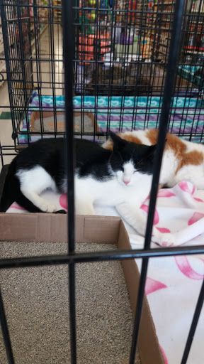 Pet Supply Store «Pet Supplies Plus», reviews and photos, 1235 Western Ave #6, Albany, NY 12203, USA
