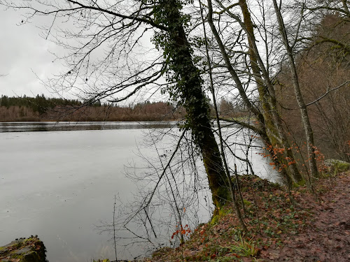 source du Hérisson à Bonlieu