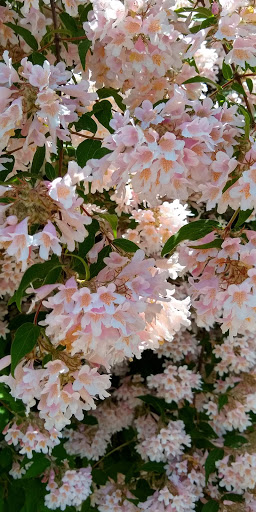 Historical Place «Locust Grove Estate», reviews and photos, 2683 South Rd, Poughkeepsie, NY 12601, USA