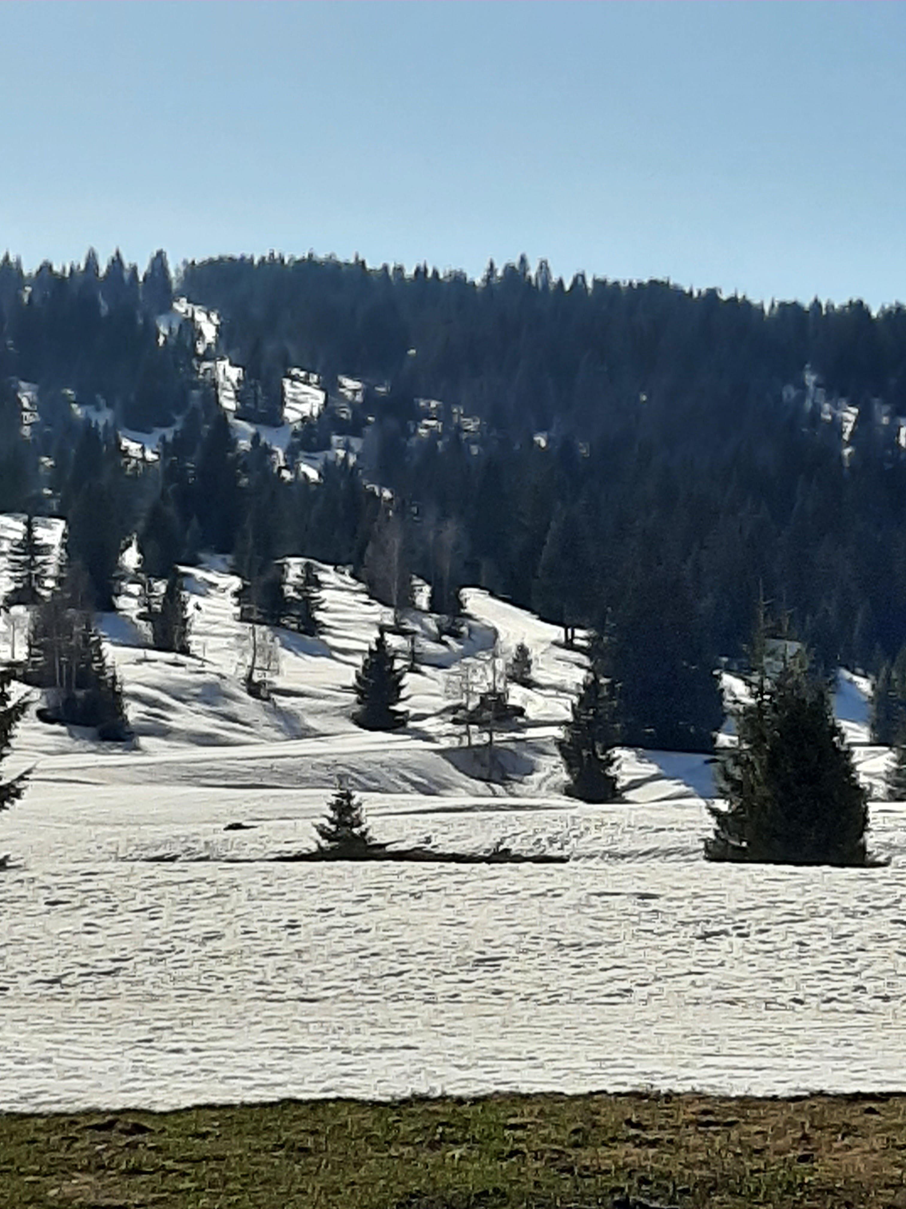 Photo n° 2 de l'avis de Jean-jacques.o fait le 24/02/2020 à 17:34