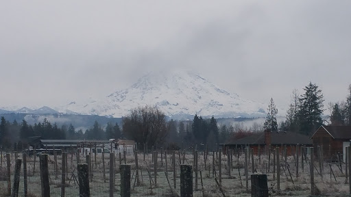 Winery «Rainier View Winery and Nursery», reviews and photos, 12314 264th St E, Graham, WA 98338, USA