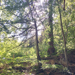 Photo n°3 de l'avis de Karin.c fait le 18/08/2023 à 20:15 sur le  Pfarralpe Missen à Missen-Wilhams