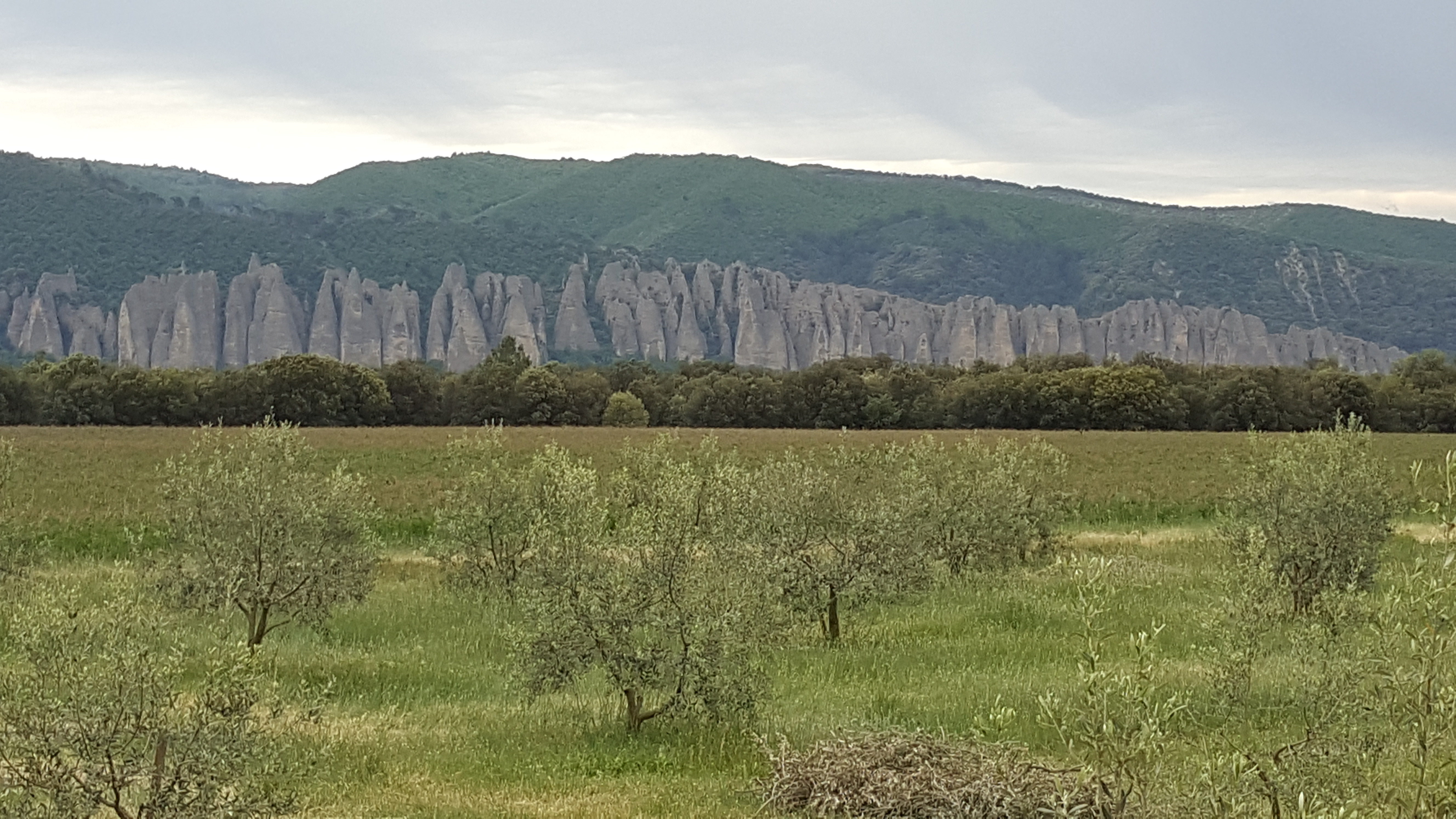 Photo n° 1 de l'avis de zoée.o fait le 17/06/2017 à 14:06
