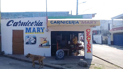 CARNICERIA MARY