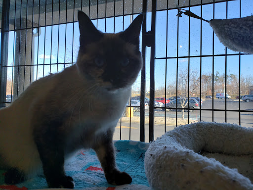 Pet Store «Pet Valu», reviews and photos, 2360 Lakewood Rd, Toms River, NJ 08755, USA