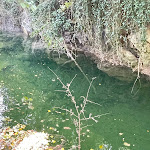 Photo n°3 de l'avis de Claudio.a fait le 04/11/2022 à 23:37 sur le  Il Sasso à Città di Castello