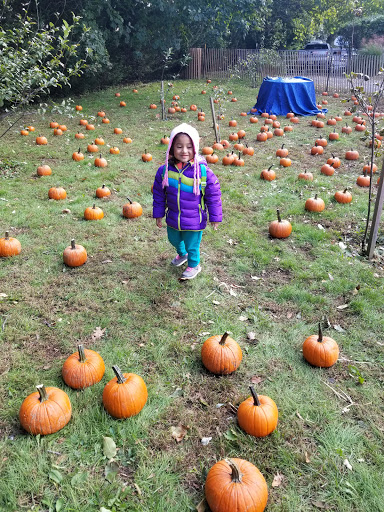 Museum «Rock Hall Museum», reviews and photos, 199 Broadway, Lawrence, NY 11559, USA