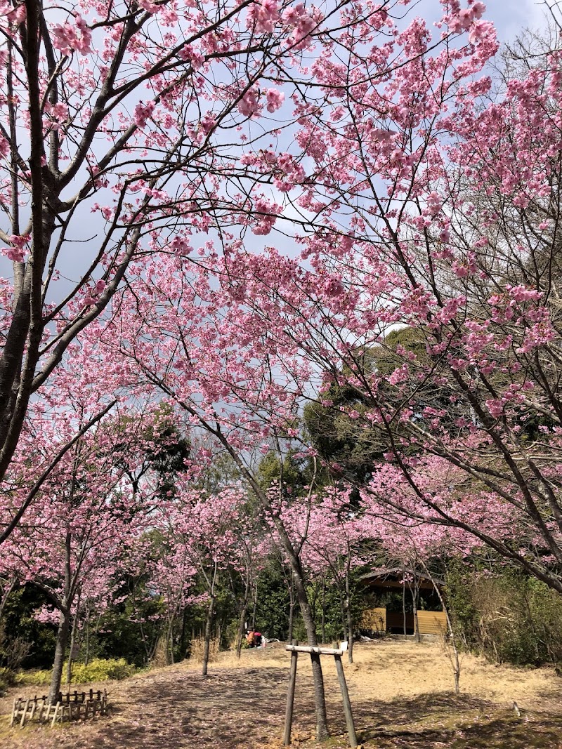 桜花苑