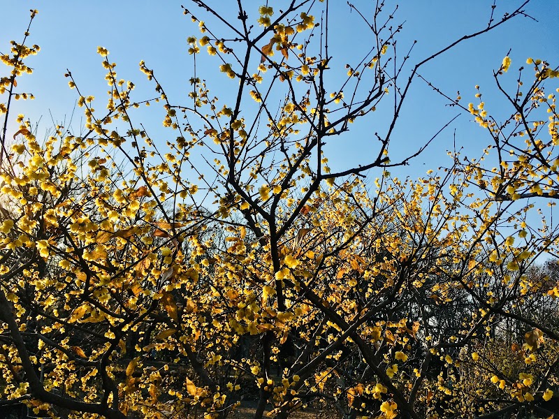 忠生公園自然観察センター