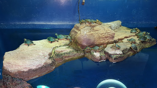 Pet Store «Incredible Pets Inc», reviews and photos, 2255 N Wickham Rd # 102, Melbourne, FL 32935, USA