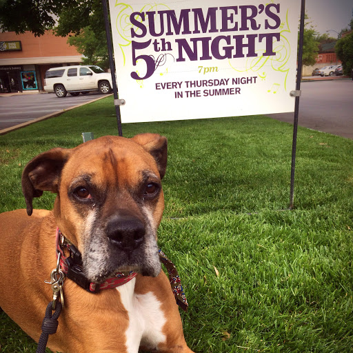 Pet Supply Store «Dog Dish», reviews and photos, 1778 Utica Square, Tulsa, OK 74114, USA