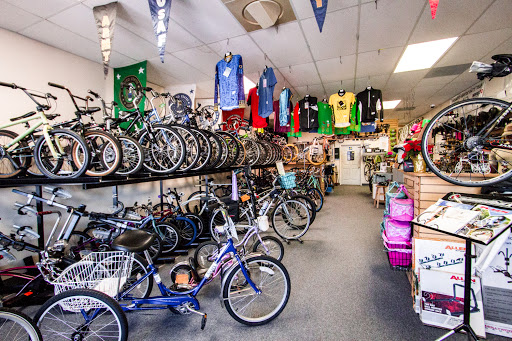 Freewheel Bicycle Shop