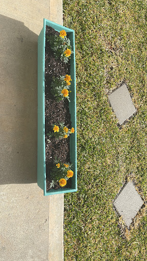 Home Improvement Store «The Home Depot», reviews and photos, 23575 U.S. 59, Porter, TX 77365, USA