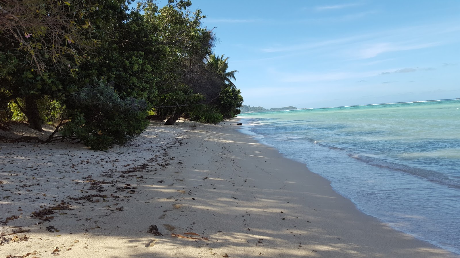 Photo of Anse Aux Pins Beach with very clean level of cleanliness