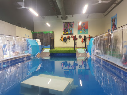 The Indoor Dog Pool & Fitness Centre