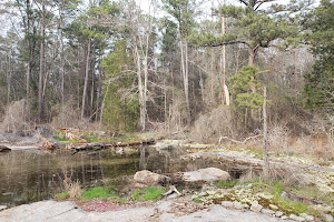 Davidson-Arabia Mountain Nature Preserve