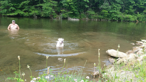 Park «Lykens Glen Park», reviews and photos, 706 Park View Rd, Lykens, PA 17048, USA