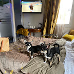 Photo n°1 de l'avis de armin.a fait le 20/02/2022 à 09:43 sur le  A casa di V-Ale à Treviso