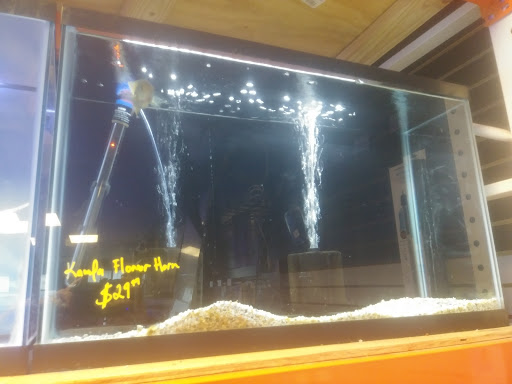 Tropical Fish Store «Ocean Avenue», reviews and photos, 6401 S Cooper St, Arlington, TX 76001, USA