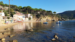 Foto von Forno Strand und seine wunderschöne Landschaft