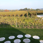 Photo n°4 de l'avis de Marco. fait le 20/11/2018 à 15:56 sur le  Masi Tenuta Canova à Lazise