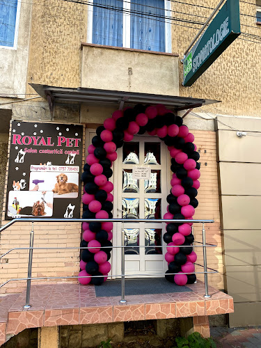 Opinii despre Royal Pet -Salon frizerie si cosmetica canina Piatra Neamt în <nil> - Coafor