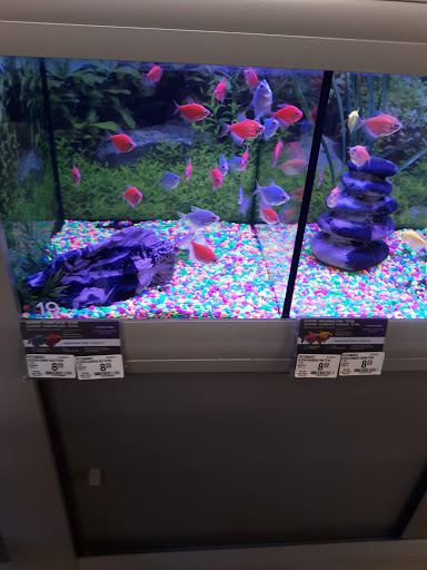 Shopping Mall «West Volusia Regional Shopping Center», reviews and photos, 2689 S Woodland Blvd, DeLand, FL 32720, USA