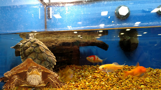 Pet Supply Store «PetSmart», reviews and photos, 475 Bank St, Waterbury, CT 06708, USA