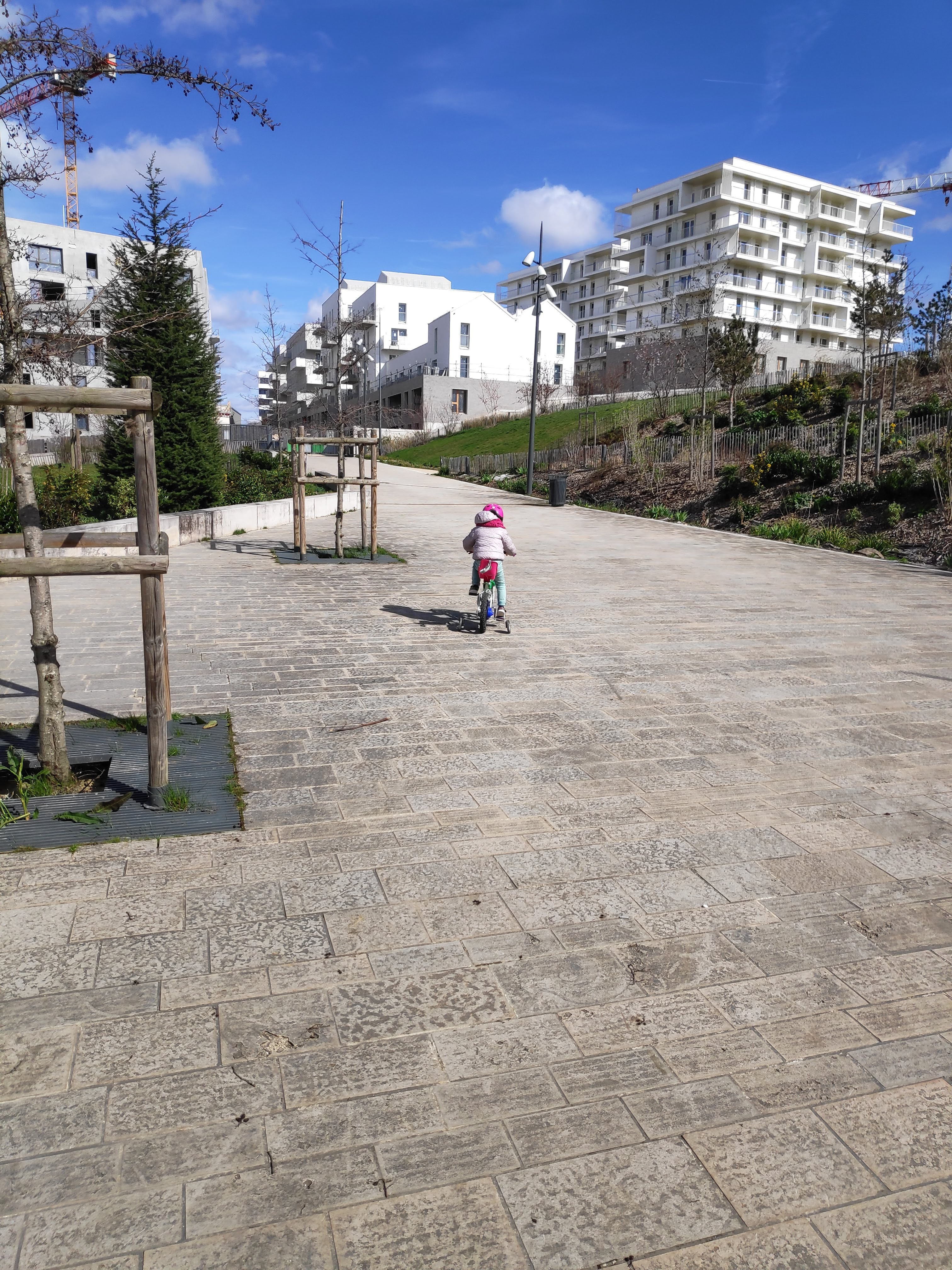 Photo n° 23 de l'avis de Emil.e fait le 15/03/2020 à 13:06