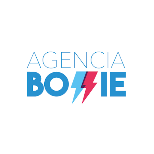 Opiniones de Agencia Bowie en La Reina - Agencia de publicidad