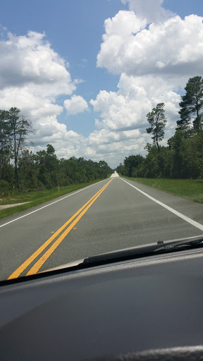 National Forest «Ocala National Forest», reviews and photos, 40929 FL-19, Umatilla, FL 32784, USA