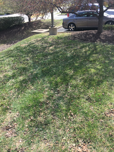 Oil Change Service «Jiffy Lube», reviews and photos, 11 Jiffy St, Wentzville, MO 63385, USA